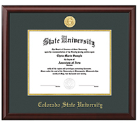 Diploma Frames image