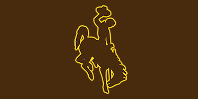 Wyoming football team logo