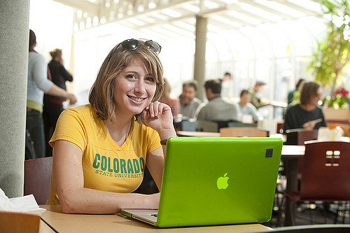 CSU student studying