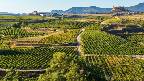 Bordeaux & the Basque Country trip photo